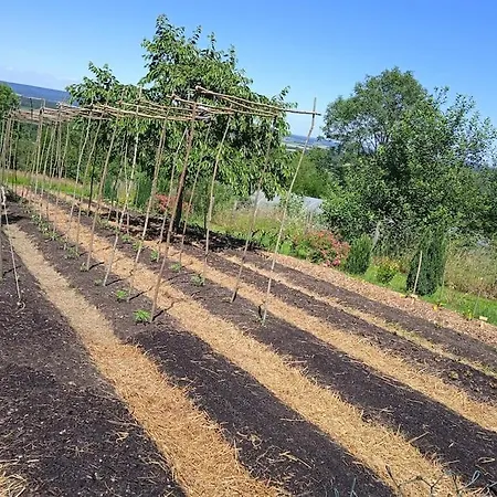 Les Jardins Des 3 Provinces- Montcharvot