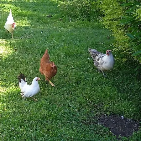 Hébergement de vacances Les Jardins Des 3 Provinces- *