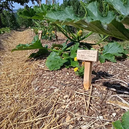 Les Jardins Des 3 Provinces- Ferienhaus Montcharvot