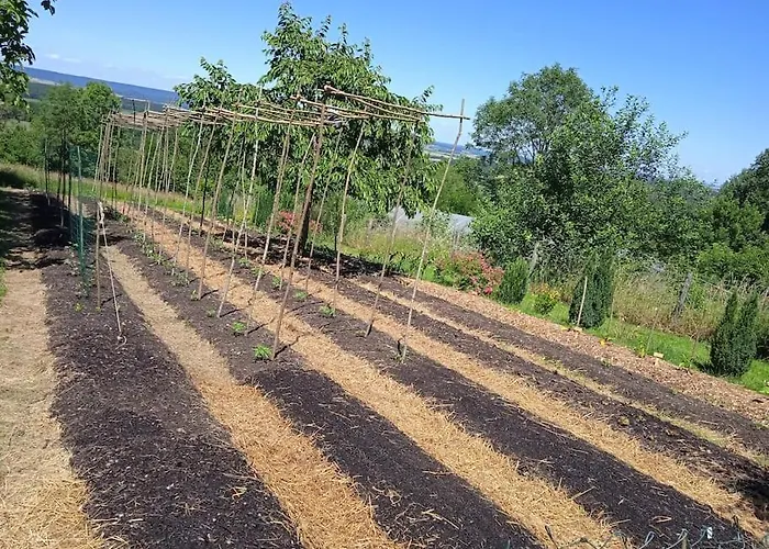 Les Jardins Des 3 Provinces- Montcharvot