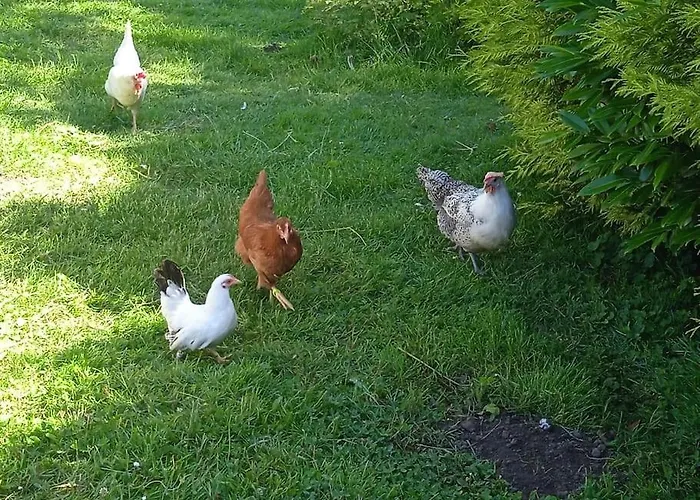 Vakantiehuis Les Jardins Des 3 Provinces- *