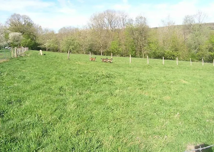 Vakantiehuis Les Jardins Des 3 Provinces-