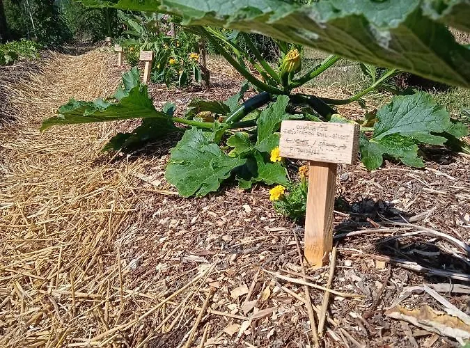 Les Jardins Des 3 Provinces- Vakantiehuis Montcharvot