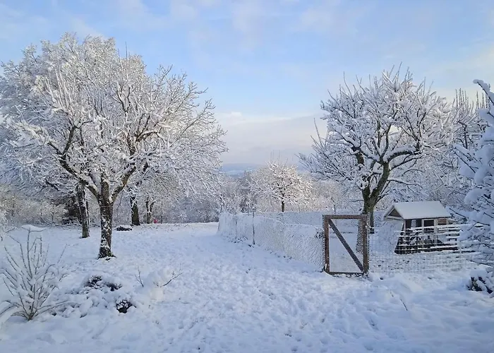Les Jardins Des 3 Provinces- * Montcharvot