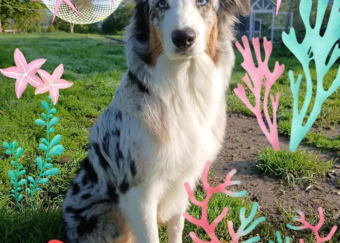 Les Jardins Des 3 Provinces- *