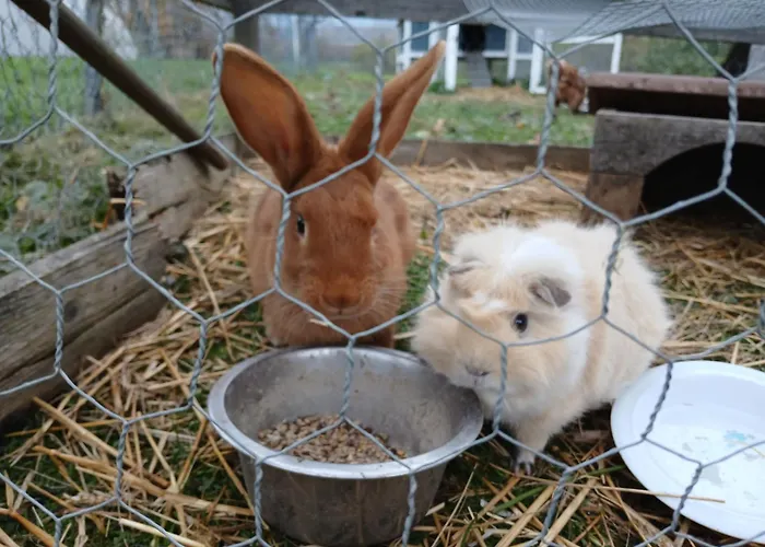 Les Jardins Des 3 Provinces- Montcharvot