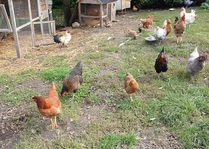 Vakantiehuis Les Jardins Des 3 Provinces-