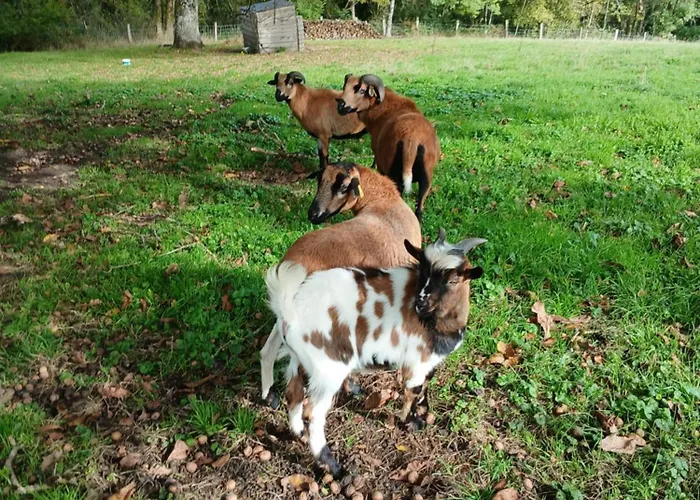 Les Jardins Des 3 Provinces- Montcharvot
